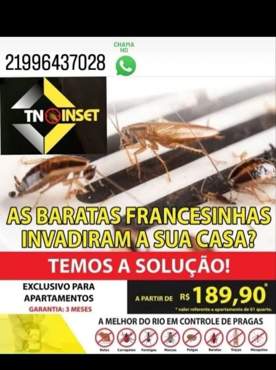 DEDETIZAÇÃO SEM CHEIRO - Foto 3
