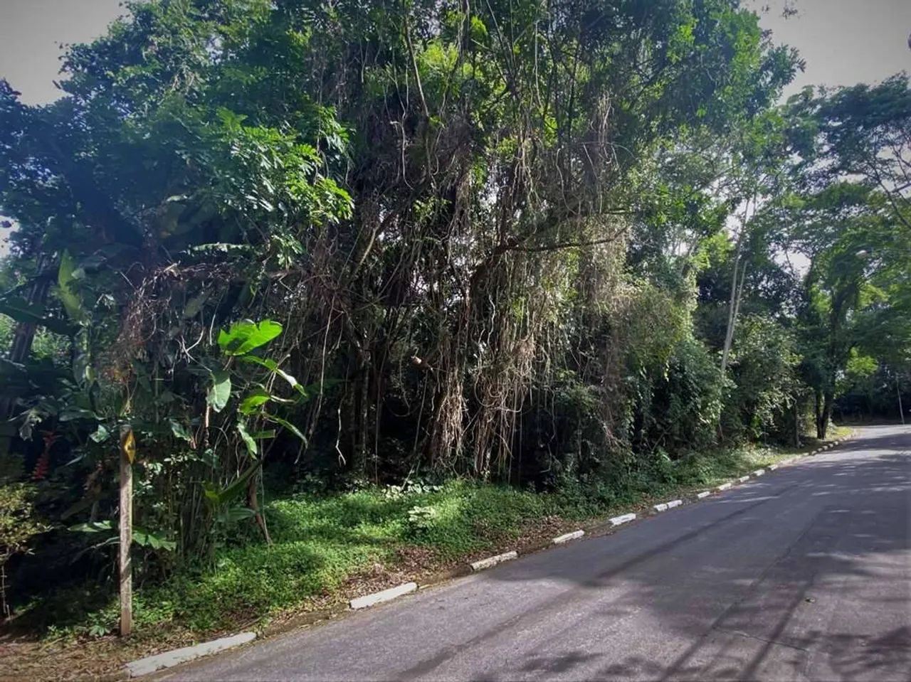 Terreno em condomínio fechado em Cotia! - Foto 3