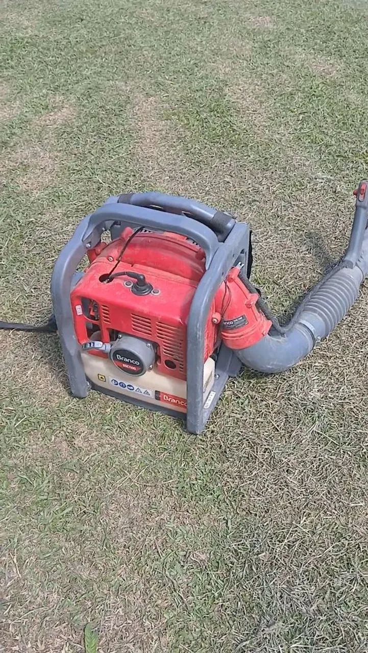 Soprador de Folhas 65138000645121121