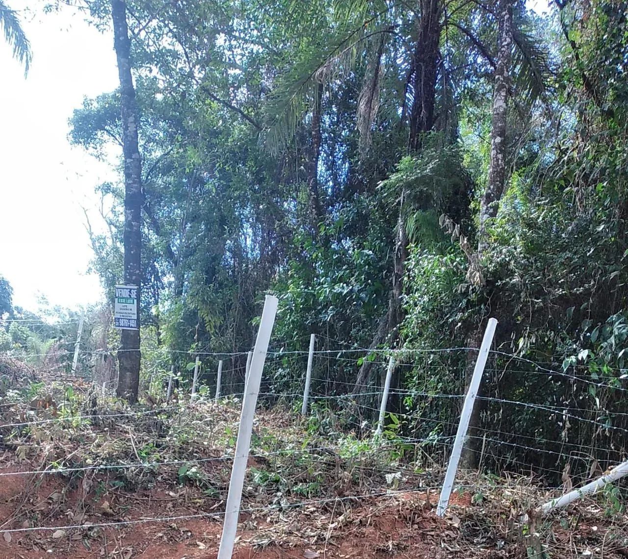 Lotes de 300 mts com escritura  - Foto 5