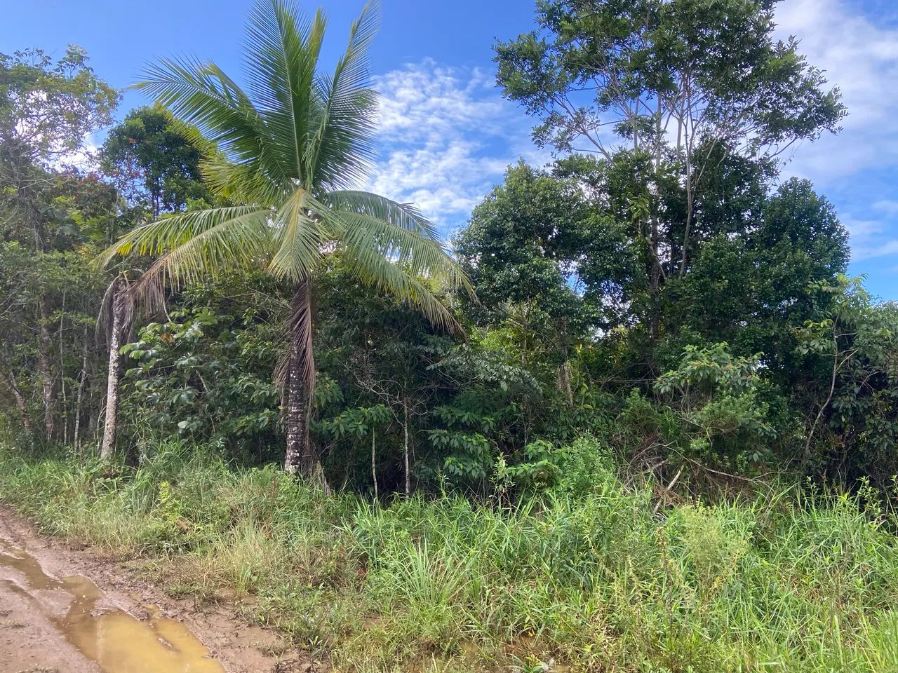 Terrenos 8x20 Itacaré (Próximo das praias) - Foto 4