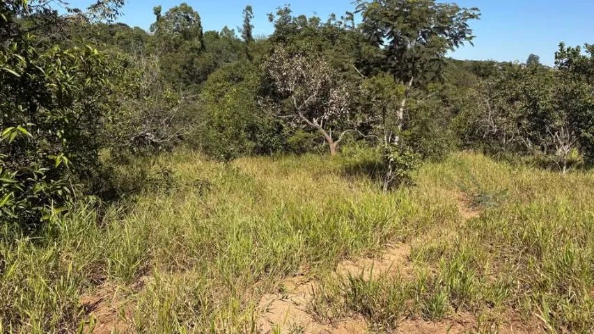 CHÁCARA DE 3.000m² - Foto 2