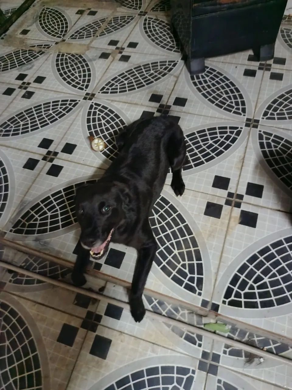 Doação  - Foto 2