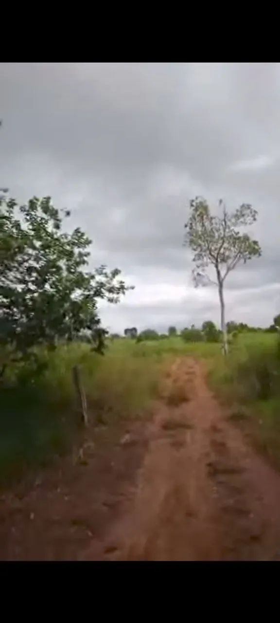Chacara - Foto 4