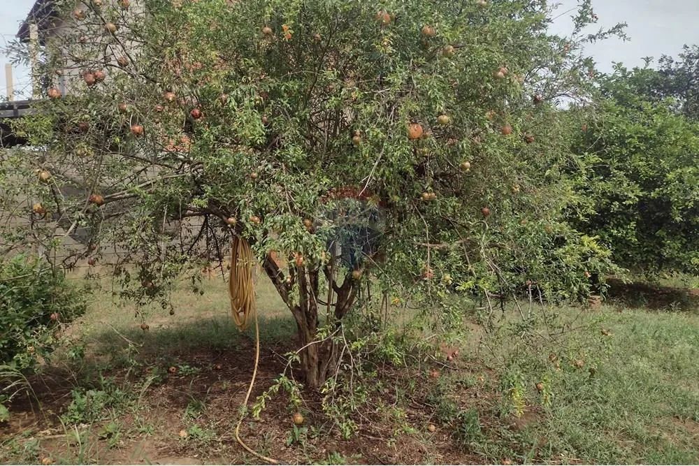 Terreno em Cosmópolis à venda - Foto 4