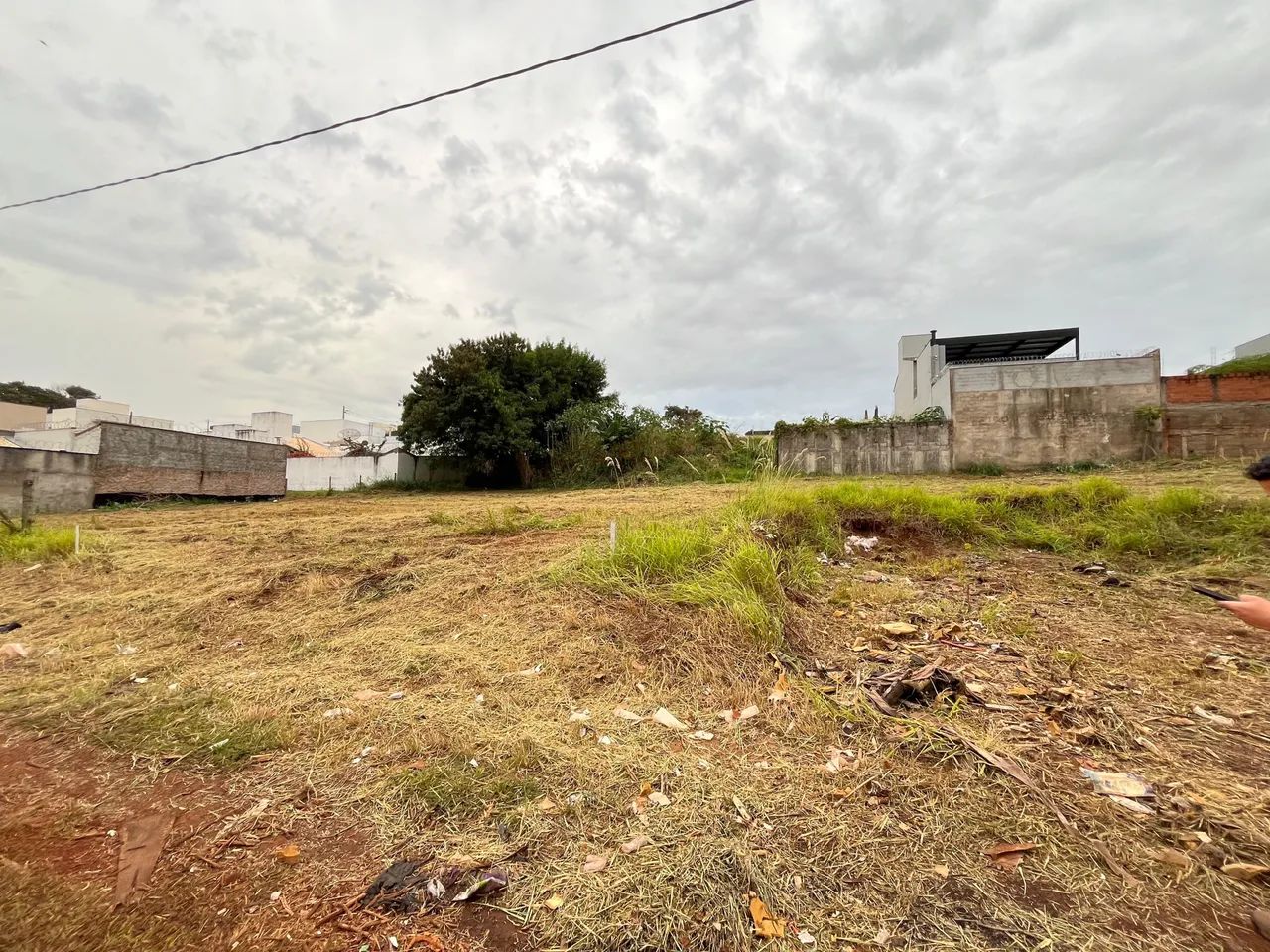 Terreno 300m3 Vigilato Pereira - Foto 3