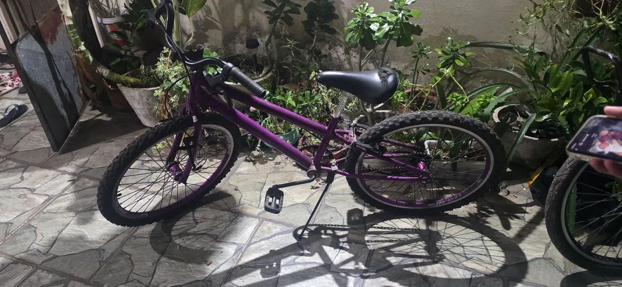 Bicicleta