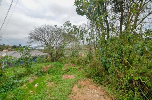 Terreno à venda em Jardim do rocio, Almirante tamandaré cod:154410 - Foto 10