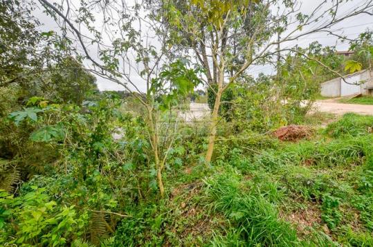 Terreno à venda em Jardim do rocio, Almirante tamandaré cod:154410 - Foto 17