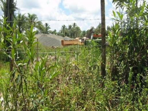 Fazenda para venda em camamu, tapuía - Foto 16