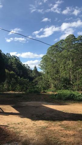 Fazenda com 15 Hectares (150 mil metros) em João Neiva - Foto 8