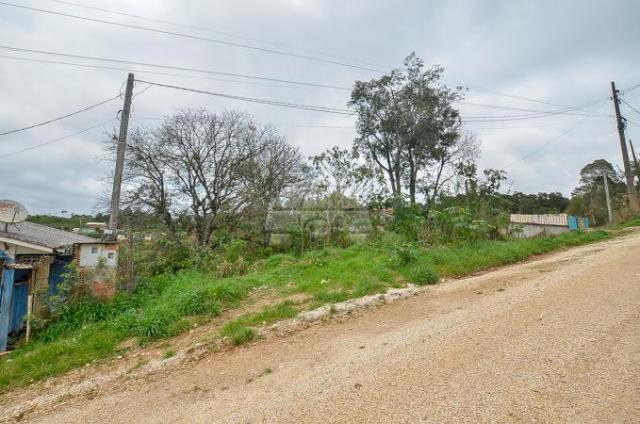 Terreno à venda em Jardim do rocio, Almirante tamandaré cod:154410 - Foto 9