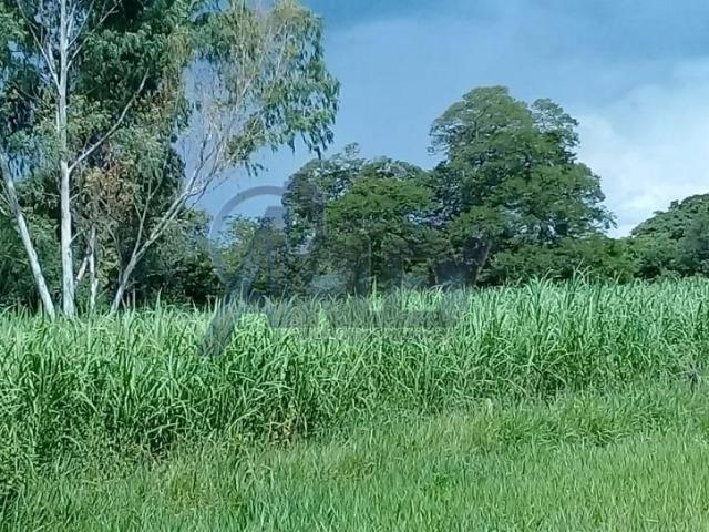 Fazenda/com um projeto que da valorização as terras - Foto 20