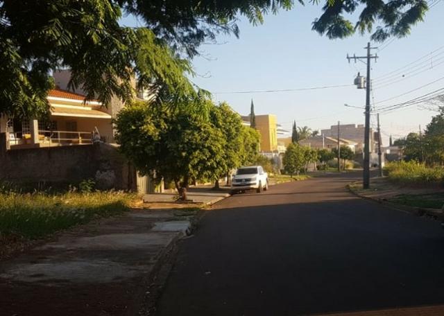 Terreno no Higienópolis - Oportunidade - 740 m2