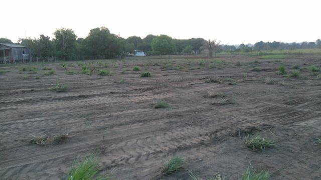 Lotes de terra - Foto 2