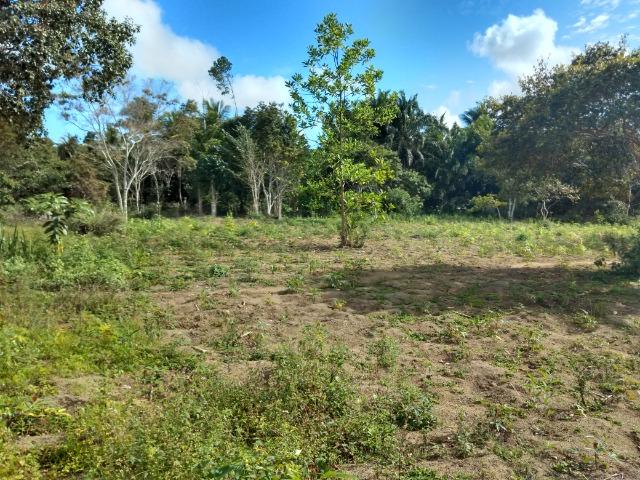 Sítio em Porto Seguro - Foto 5