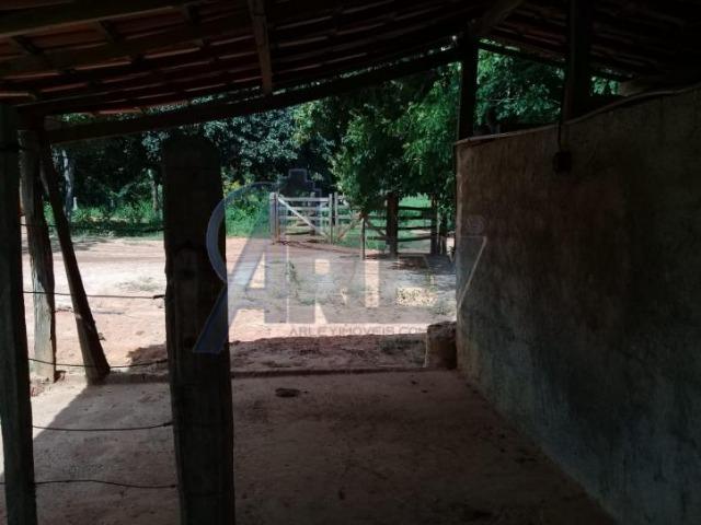 Fazenda/com um projeto que da valorização as terras - Foto 5
