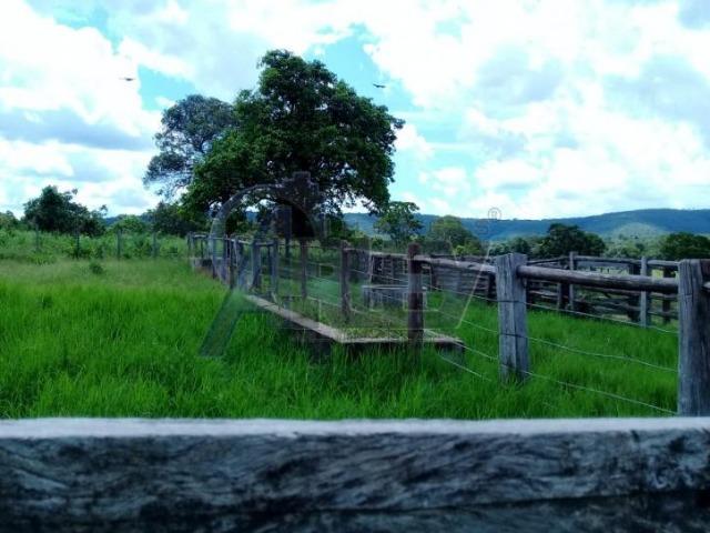 Fazenda/com um projeto que da valorização as terras - Foto 2
