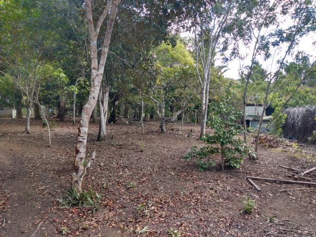 Sítio em Porto Seguro - Foto 9