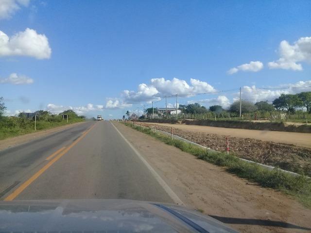 Excelente área de terra com 19.600 metros quadrados na BR 116 Norte - Foto 6