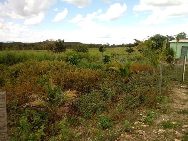 Fazenda 22 alqueires - Foto 8
