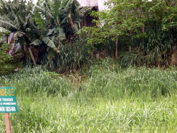 Chácara para alugar em Vila yolanda, Osasco cod:27474