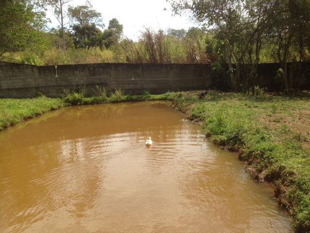 Bragança Pta 6000 m² Bairro Água Comprida Cód. BAC-1 - Foto 13