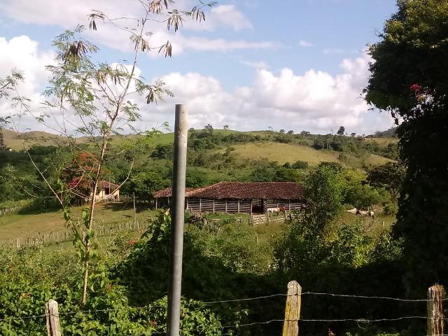 Fazenda Ipiaú vale do Gongoji de 1.150ha com estrutura e sede. Oportunidade - Foto 12