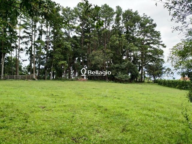 Terreno - Foto 4