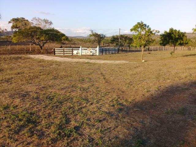 Lindíssima Fazendinha na região rural de Antonio Cardoso Bahia - Foto 6