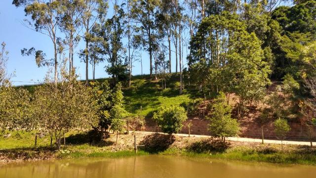 Sítio 4 Hectares - Casa de 3 Quartos - 5 Açudes - Galpão - São Sebastião - Treze de Maio - Foto 10
