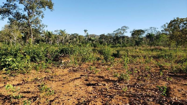 2.400 Alqs Estudo Parte Em Permutas São Salvador TO - Foto 5