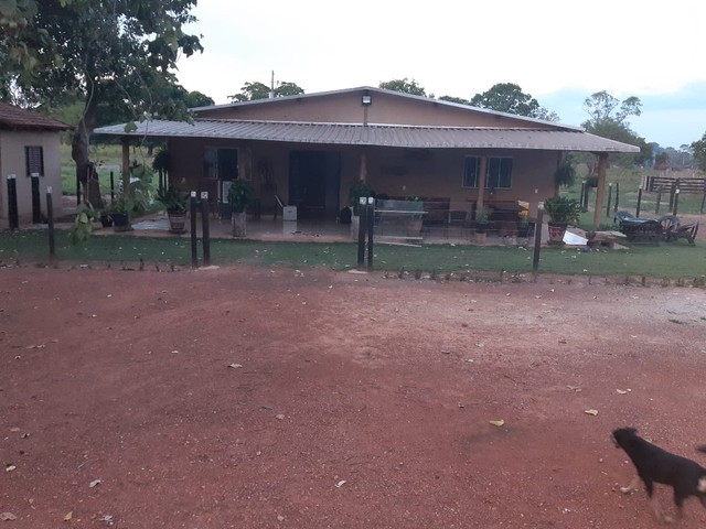 40 Alqueires em cocalinho Mt  - Foto 3