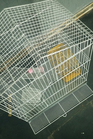 Gaiola Viveiro, Porquinho da Índia, Chinchilas, Hamster, Twister - Foto 2