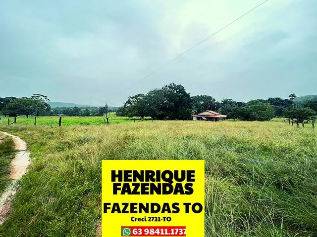 Fazenda 28 Alqueires 18 Pasto Toda Mecanizada Região Boa De Chuva Terrenos Sítios E Fazendas 0580