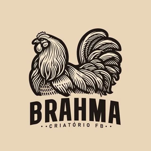 Ovos galados Brahma - Foto 6