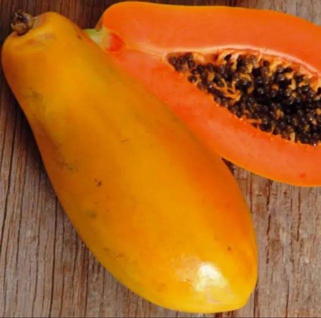 Mudas de mamão Formosa.