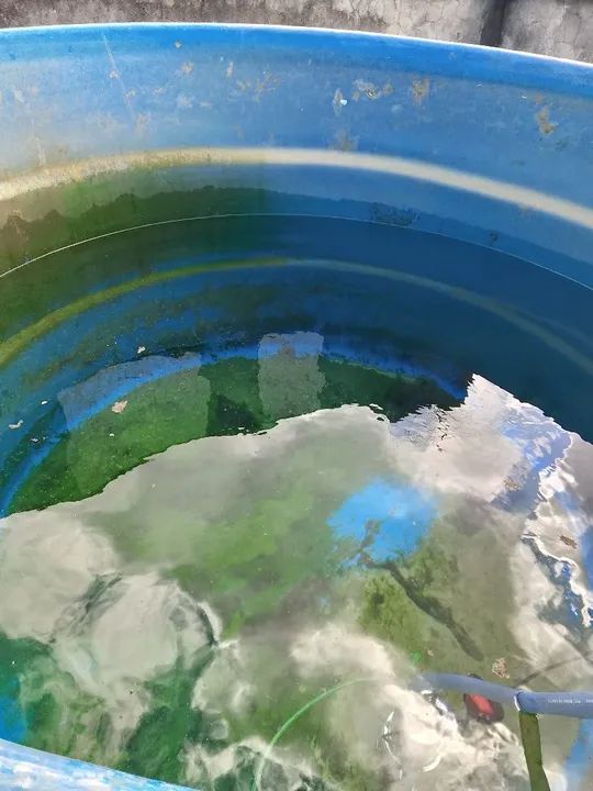 LIMPEZA E HIGIENIZAÇÃO DE CAIXAS D'ÁGUA E CISTERNA. - Foto 5