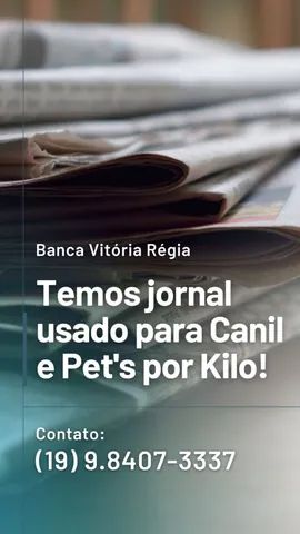 Jornal para PET (canil)  - Foto 3