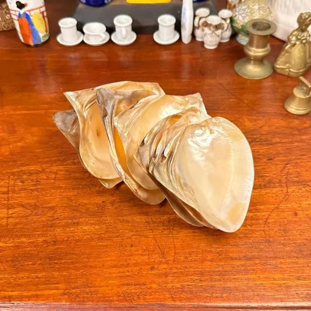 Conjunto com 07 conchas em madrepérola para caviar. - Foto 4