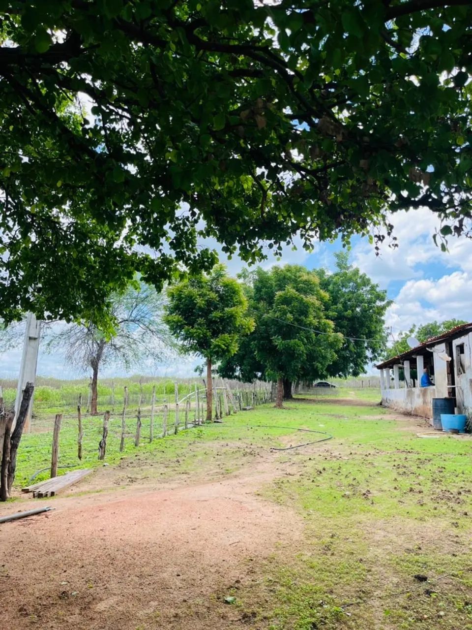 FAZENDA PARAISO QUIXADÁ - Foto 5