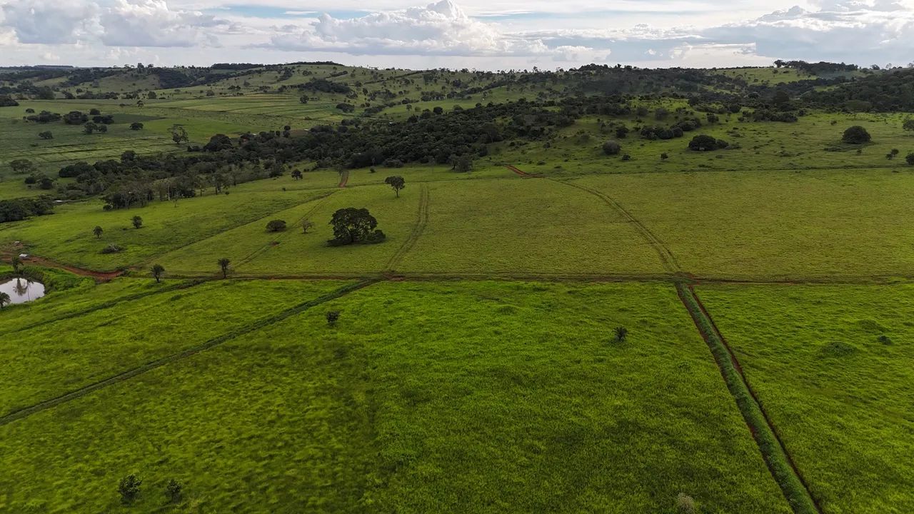 Fazenda ouro verde 53 alqueires  - Foto 4
