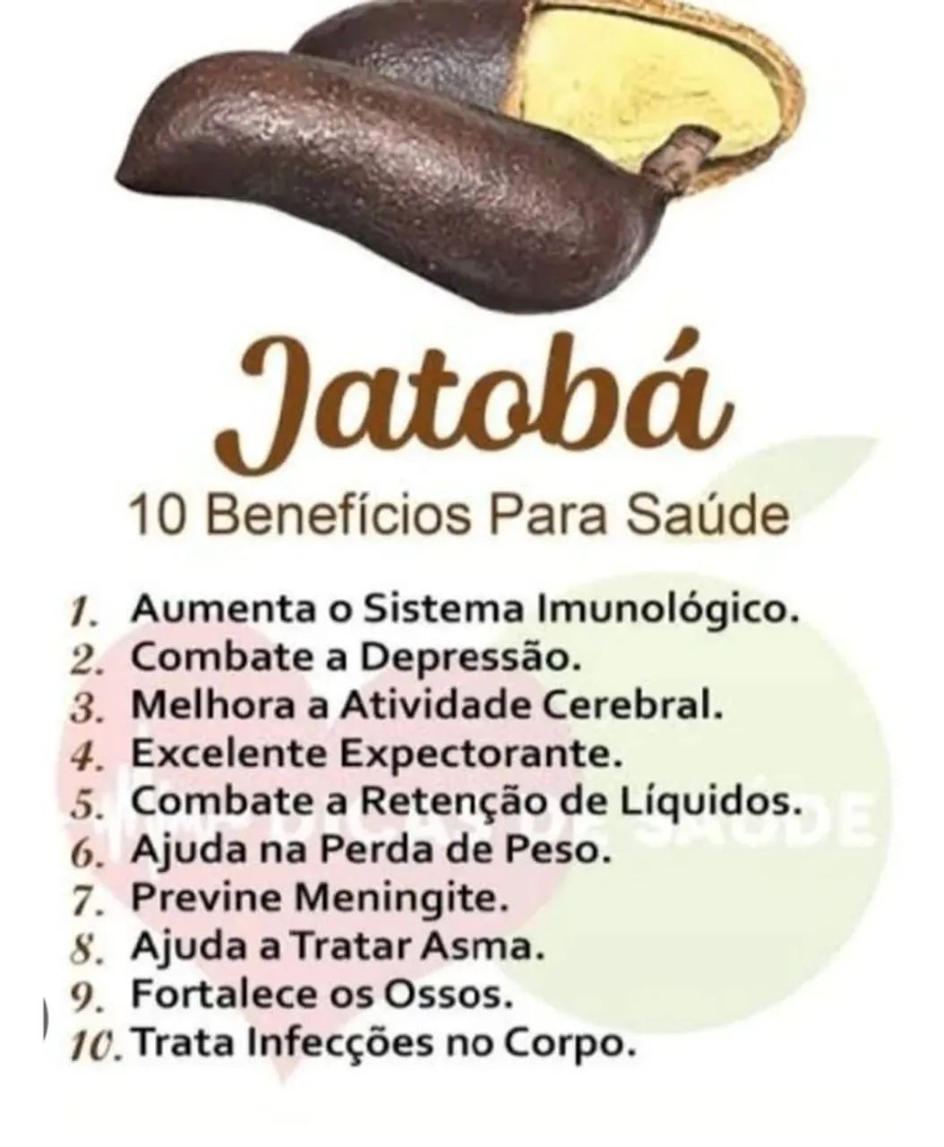 Jatobá fruto medicinal - Foto 5