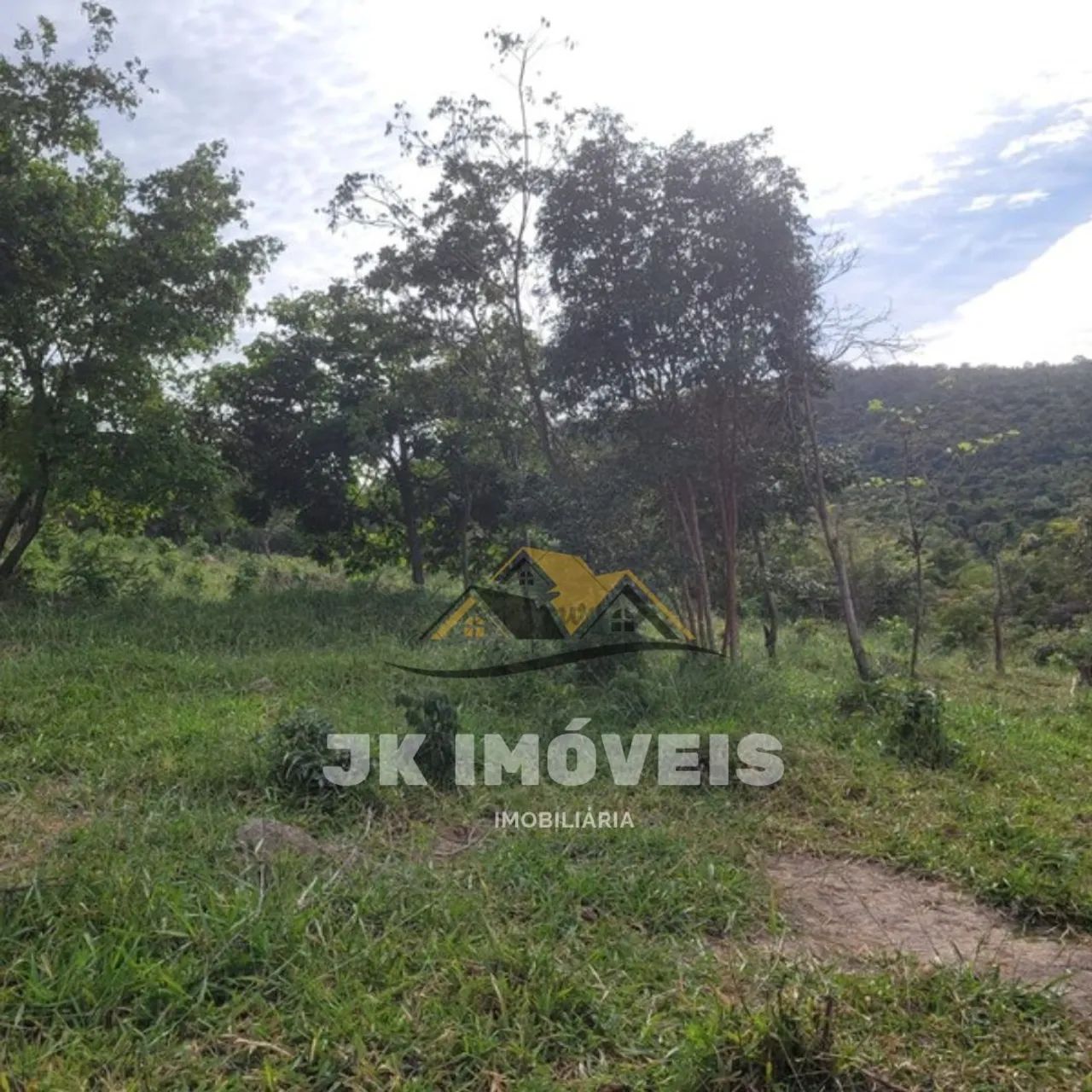 Fazenda toda formada, 41 hectares  - Foto 2