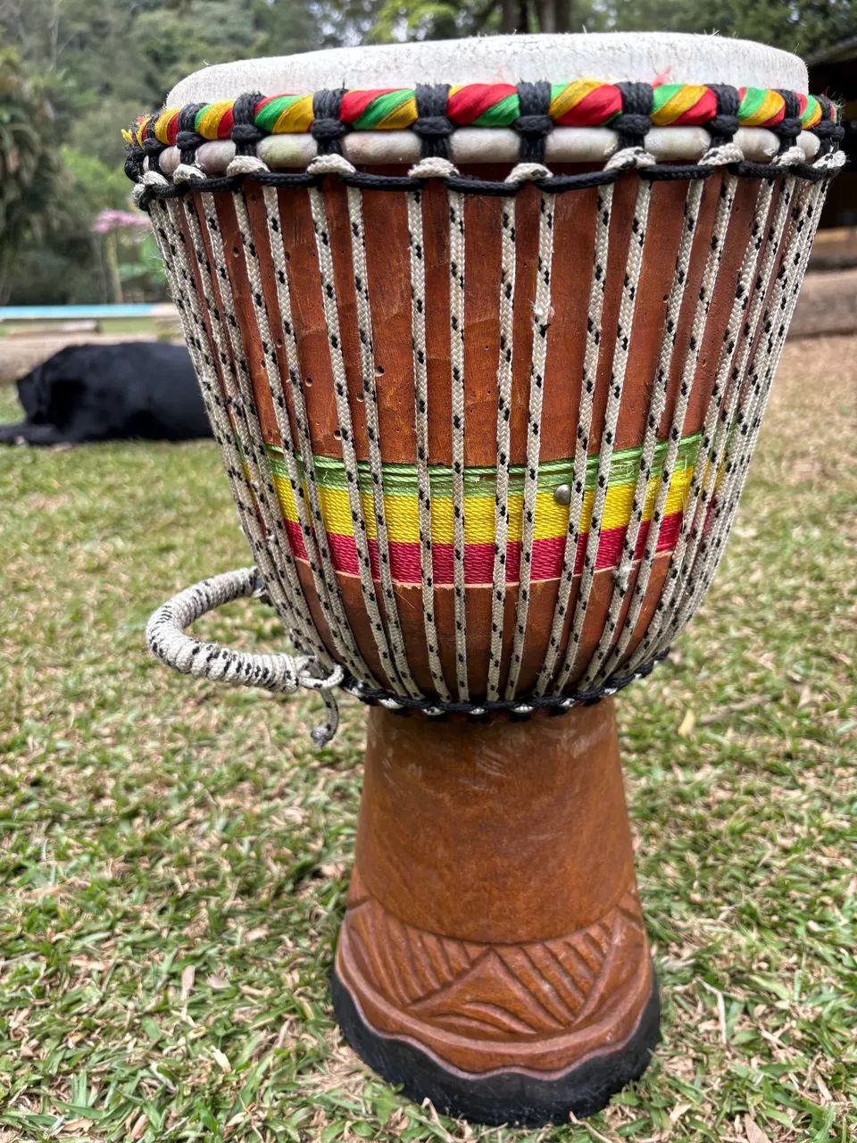 Djembe Profissional 12" Senegal Xamanismo Daime Rastafari - Foto 2