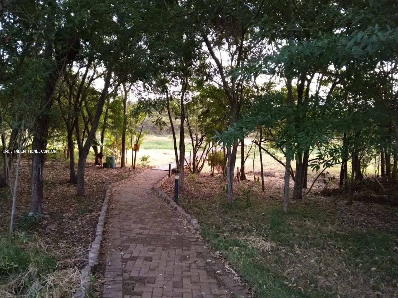 Área Rural para Venda em Alvorada do Sul, RURAL - Foto 5