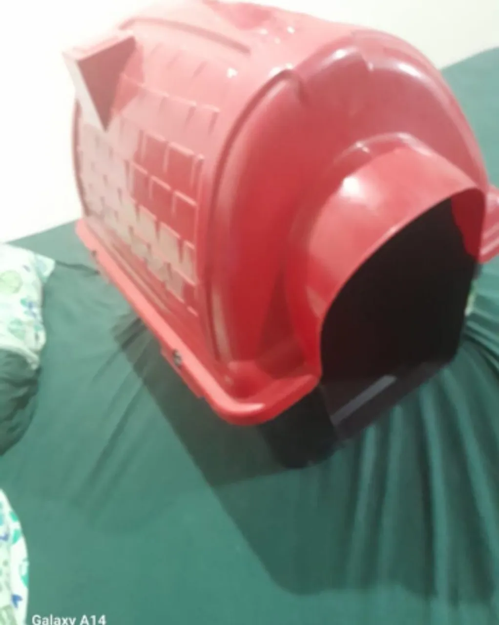 Casinha grande espaçosa para proteger seu pet. E um sanitário para pet de brinde