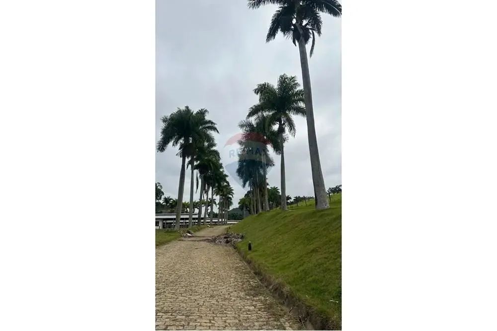 Fazenda Boa Esperança  Guarará/MG  Beira de Asfalto  Porteira Fechada - Foto 12