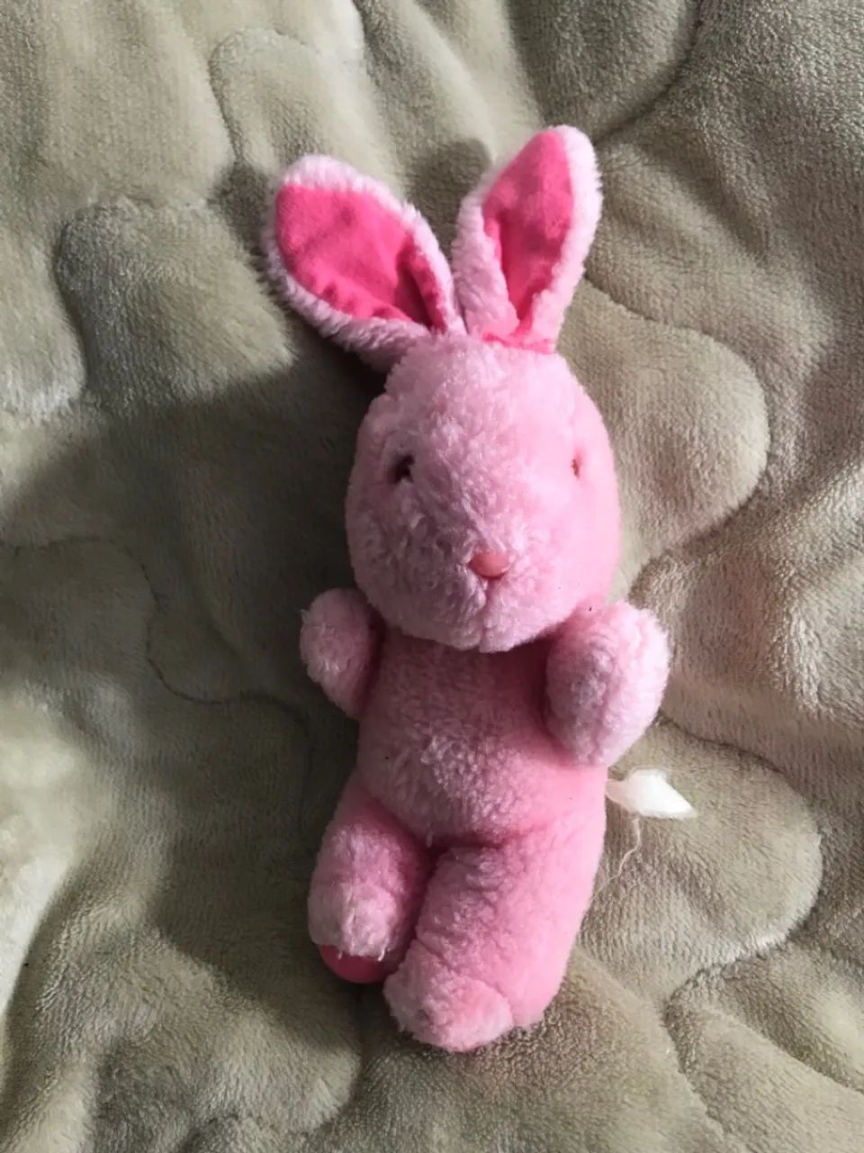 Coelho rosa