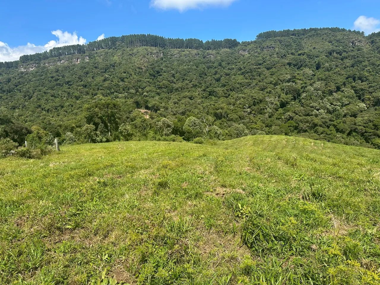 Vende sítio  - Foto 10